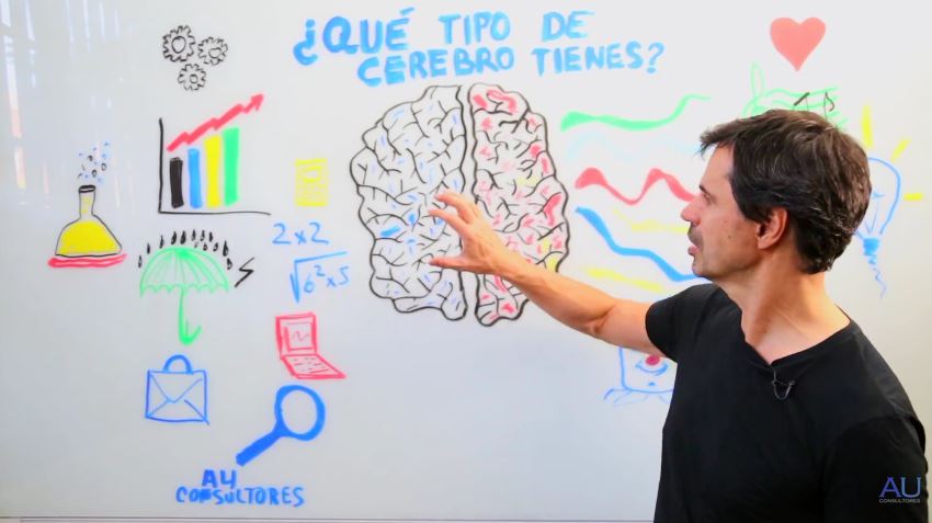 AU Consultores - Antonio Ucha Coach - Cómo funciona el cerebro.